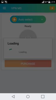 VPN mlfs screenshot 1