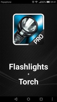 Pro Flashing Torch screenshot 1