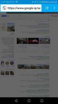 B Browser screenshot 12