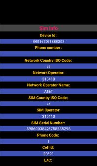 Sim Info screenshot 1