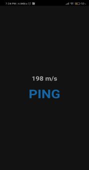 Ping Test screenshot 2