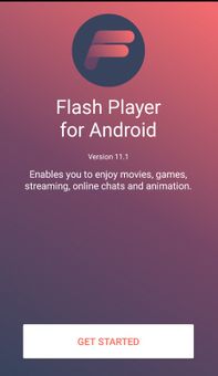 Flash Player screenshot 1