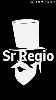 SR REGIO screenshot 9