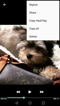 Video Downloader for Instagram screenshot 5