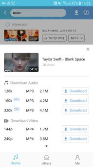 DoremiZone Downloader screenshot 3