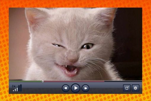 Funny Video screenshot 10