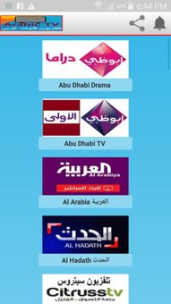 Arabic TV تلفزيون قنوات عربي screenshot 7