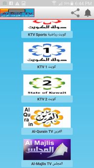 Arabic TV تلفزيون قنوات عربي screenshot 3