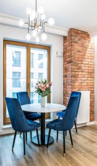 Dining Room Design Ideas screenshot 5