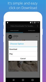 Video Downloader For facebook screenshot 4