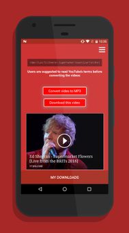 YoutubeMp3 screenshot 1