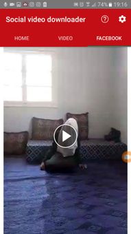 Social video downloader screenshot 2