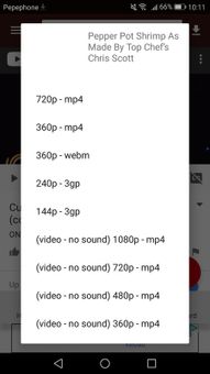 VidCatch screenshot 6