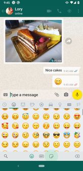 YOWhatsApp screenshot 1