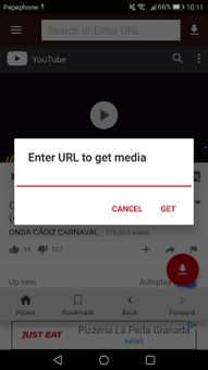 VidCatch screenshot 5