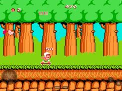 Hudson’s Adventure Island Screenshot