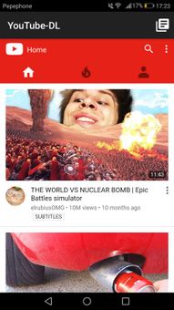 YouTube-DL screenshot 1