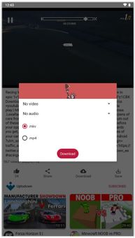 LibreTube screenshot 8