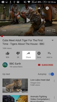 YouTube Download screenshot 1