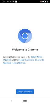Chromium screenshot 3