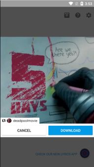 InstaSaver screenshot 8