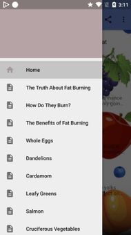 Diet Foods - Fat Burning Foods screenshot 4