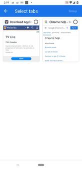 Chromium screenshot 8