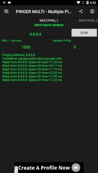 PINGER MULTI - Multiple Ping To The Network screenshot 2