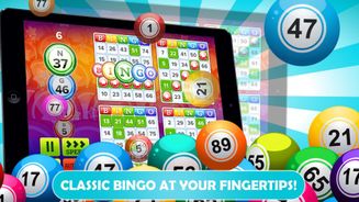 Bingo No Deposit Screenshot