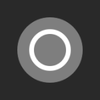 Quick ball icon