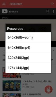 Tubebook YouTube Downloader screenshot 3