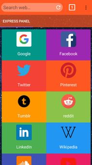 Chrom Browser screenshot 1