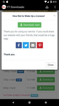 YT Downloader screenshot 3