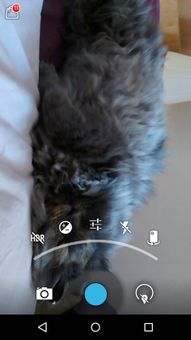 Camera HD screenshot 1