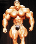 Best_Bodybuilding_Trainers APK