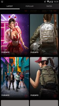 Android Pubg Wallpaper screenshot 6