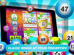 Bingo No Deposit Screenshot