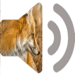 Reclamo zorro APK