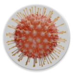 Covid-19 APK
