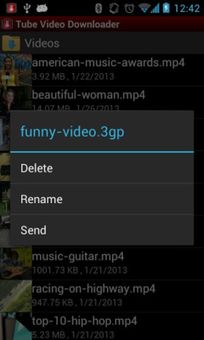 Tube Video Downloader screenshot 3