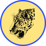 Browser Leopard APK