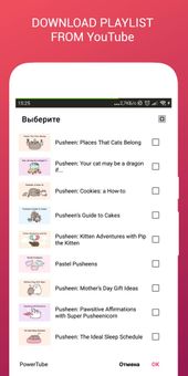 PowerTube screenshot 4