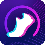 Pedometer pro APK
