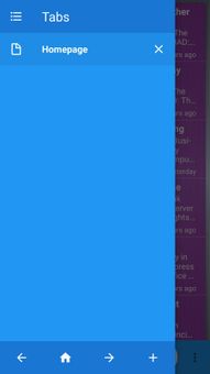 Apple Browser screenshot 4