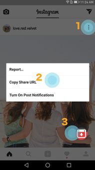 Video Downloader for Instagram screenshot 1
