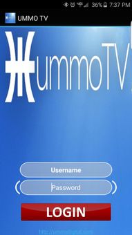 UMMO TV screenshot 1