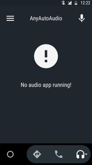 OUTDATED - AnyAutoAudio screenshot 3