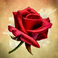 Romanticas: Radios y Música APK
