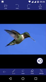 Photo Retouch screenshot 4