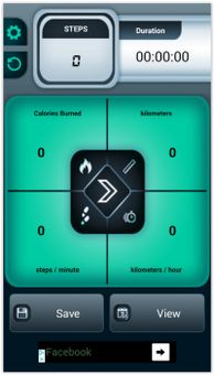 Fitbit - Flex Diet Alta screenshot 1